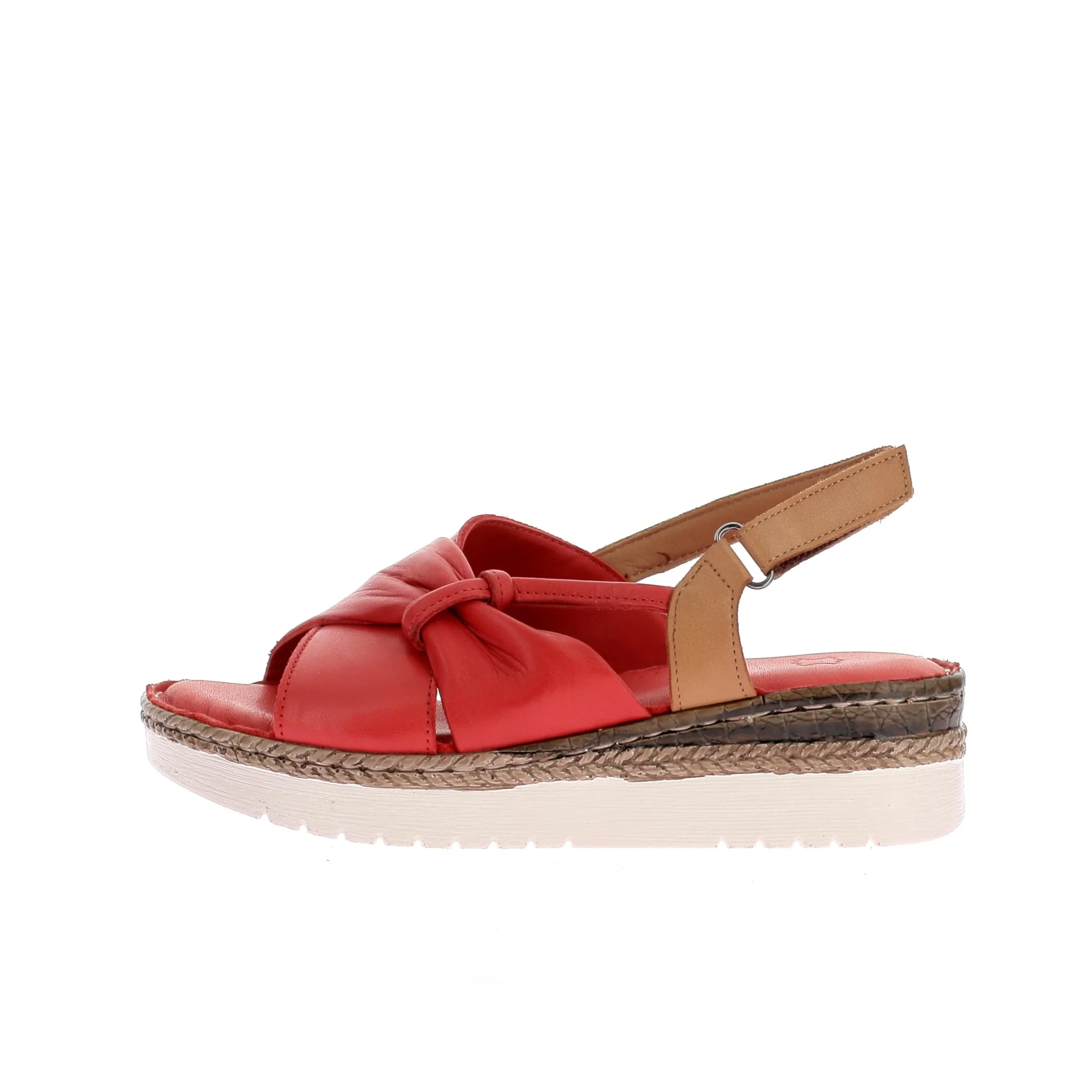 212-1623 – Image 2