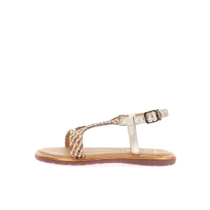 LOTUS-78868-GOLD/MULTI